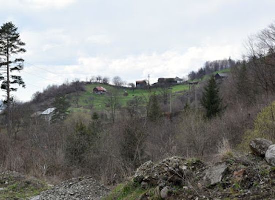 romania/bistrita-nasaud/attraction/cascada-condoras