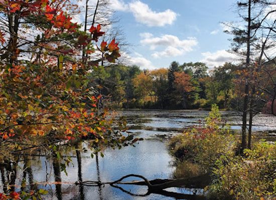 rhode-island/kent-county/attraction/audubon-fisherville-brook-wildlife-refuge