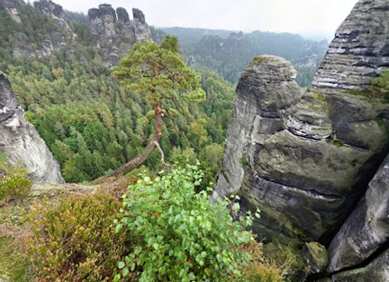 germany/saxony/attraction/wehlsteinaussicht