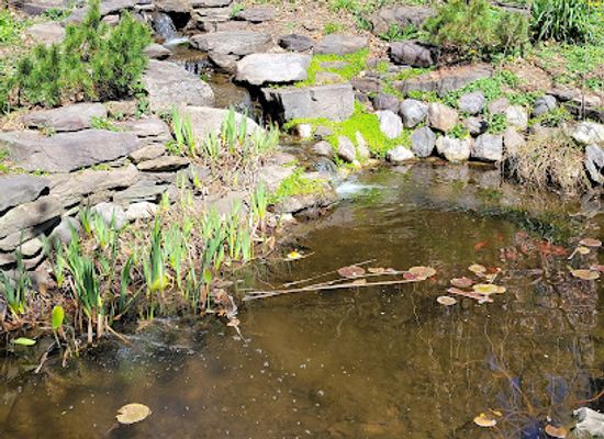 new-jersey/wachung-mountains/attraction/reeves-reed-arboretum