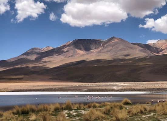chile/central-valley/attraction/salvador-dali-desert