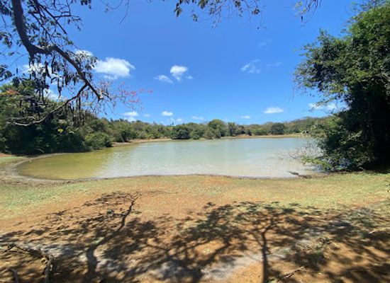 colombia/insular-region/attraction/laguna-big-pond