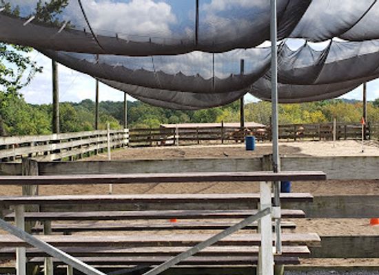 illinois/giant-city-state-park/attraction/giant-city-stables