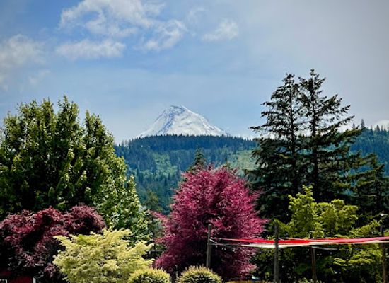 oregon/columbia-river-gorge/attraction/hood-river-lavender-farms