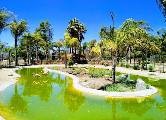 mexico/tierra-caliente/attraction/jersey-s-kid-s-zoo-park