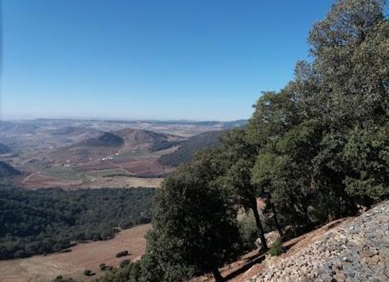 morocco/zemmour/attraction/ifrane-national-park