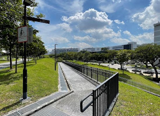 singapore/ang-mo-kio/attraction/ang-mo-kio-linear-park