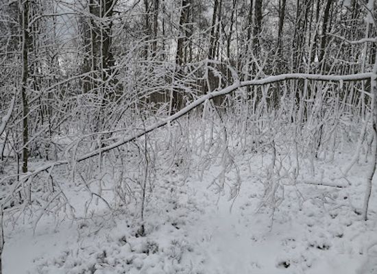 sweden/jonkoping/attraction/skams-hal-naturreservat