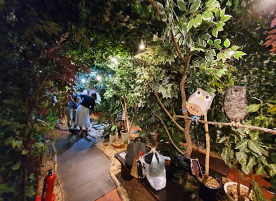japan/kyoto-countryside/attraction/kyoto-owl-s-forest