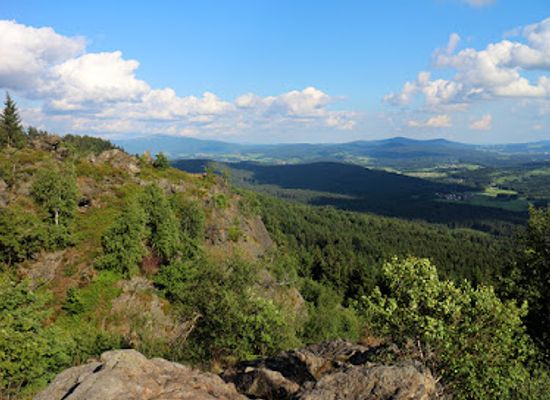 germany/bavarian-forest-national-park/attraction/bayerischer-wald-e-v-nature-park