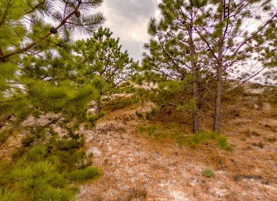 massachusetts/north-shore/attraction/crane-wildlife-refuge