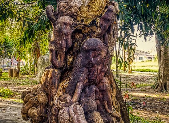 thailand/chiang-rai/attraction/chaloem-phrakiat-kanchanapisek-exhibition-hall-chiang-rai