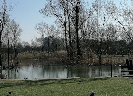 italy/modena/attraction/parco-enzo-ferrari