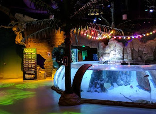 north-carolina/charlotte-area/attraction/sea-life-charlotte-concord