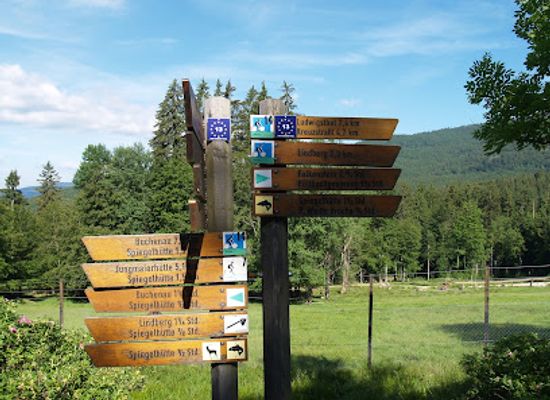 germany/bavarian-forest-national-park/attraction/hirschgehege-scheuereck