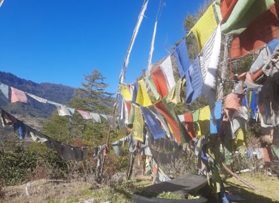 bhutan/chhukha-district/attraction/view-point