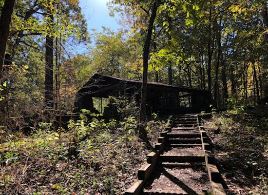 texas/piney-woods/attraction/caddo-lake-state-park