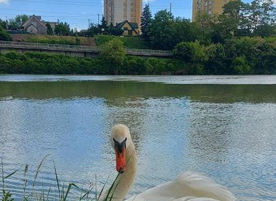 slovenia/velenje/attraction/maribor