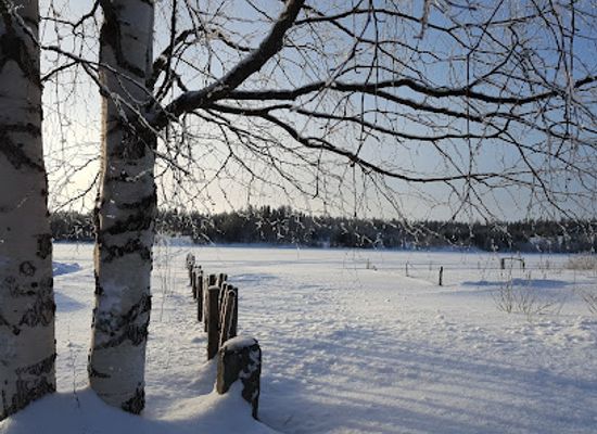 finland/pyha-luosto-national-park/attraction/aurora-house