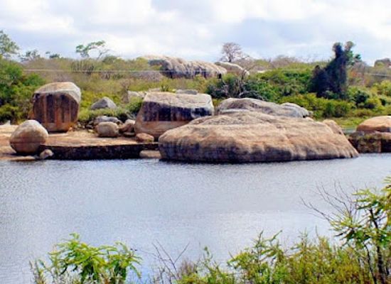 brazil/caatinga/attraction/lajedo-de-pai-mateus