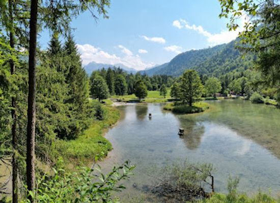 austria/salzkammergut/attraction/cumberland-wildlife-park-grunau