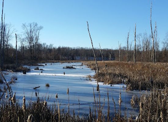 massachusetts/hampden-county/attraction/fannie-stebbins-memorial-wildlife-refuge