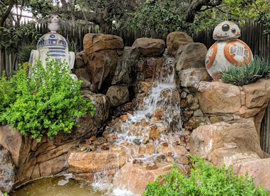 california/irvine/attraction/orange-county-zoo