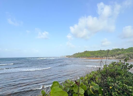 barbados/saint-joseph/attraction/congor-bay-beach