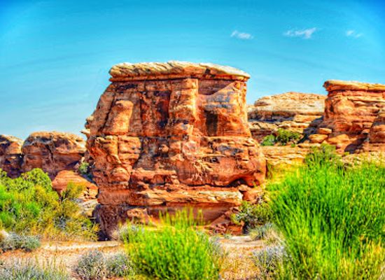 utah/canyonlands-national-park/attraction/big-spring-canyon-overlook-and-trailhead