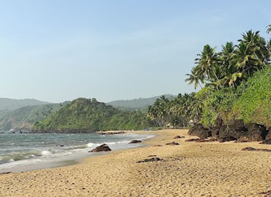 india/goa-beaches/attraction/cola-beach
