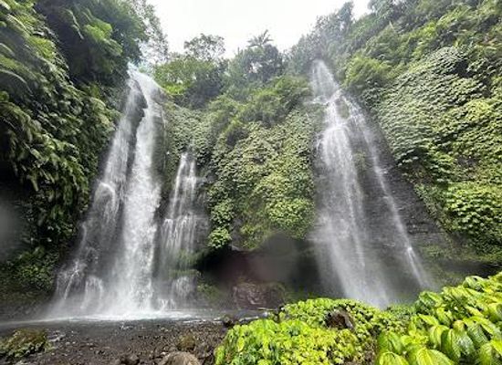 indonesia/bali/attraction/fiji-waterfall-lemukih