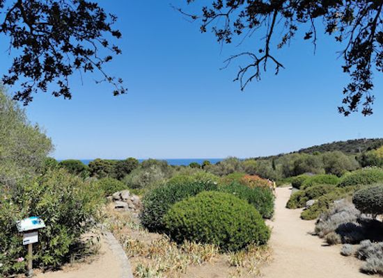 france/corsica/attraction/parc-of-saleccia