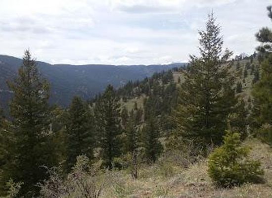 colorado/boulder/attraction/switzerland-trail