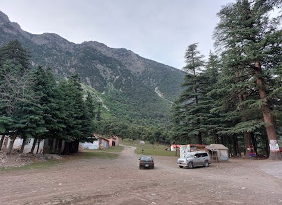 pakistan/swat/attraction/ushu-forest