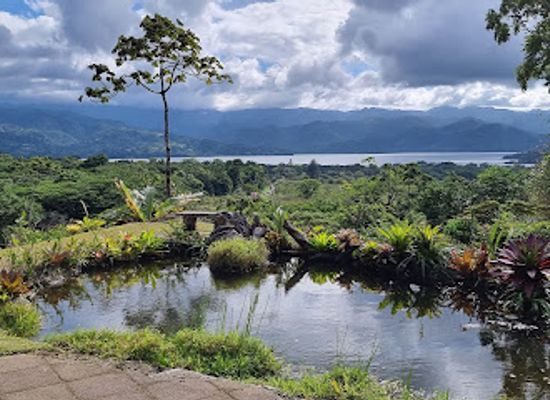 costa-rica/arenal-volcano-area/attraction/sloth-watching-trail-la-fortuna-arenal-volcano-private-trail