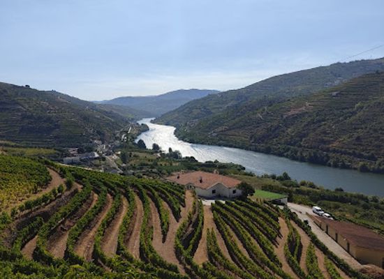 portugal/douro/attraction/best-of-douro