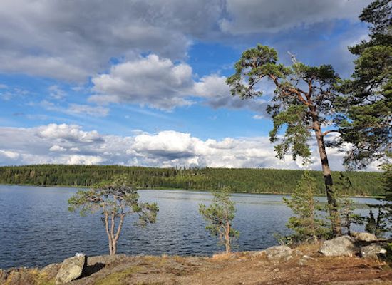 sweden/narke/attraction/obacken-branninge
