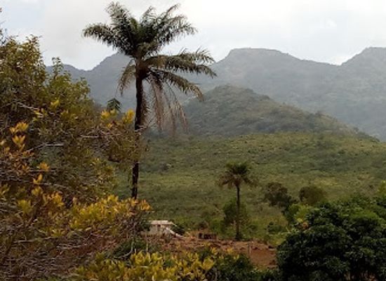 sierra-leone/freetown/attraction/western-area-national-park
