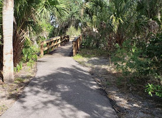 florida/honeymoon-island-state-park/attraction/hammock-park