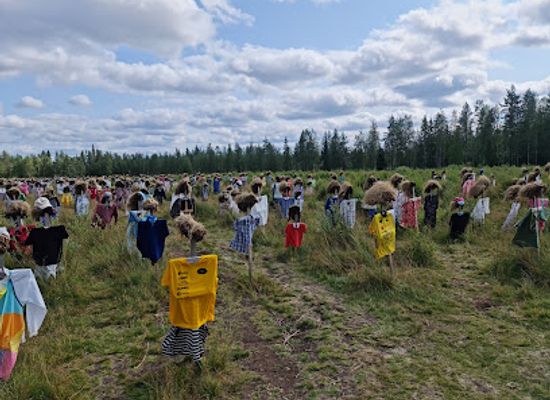 finland/kainuu/attraction/hiljaisen-kansan-tilataideteos-the-silent-people