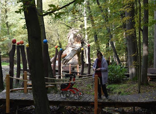 czechia/ostrava/attraction/drevena-socha-obra-v-belskem-lese