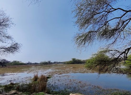 india/haryana/attraction/sultanpur-national-park