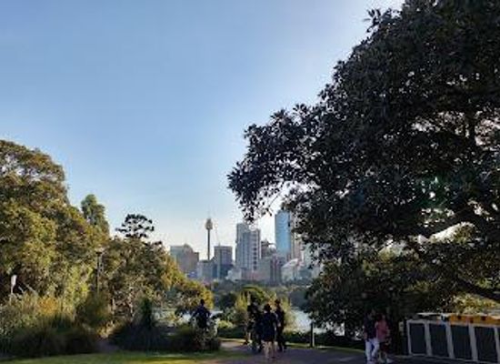 australia/sydney-basin/attraction/the-domain-sydney