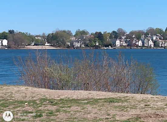 massachusetts/worcester/attraction/shore-park