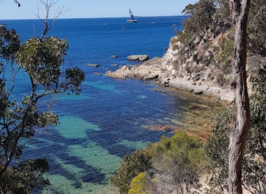 australia/new-england/attraction/davidson-whaling-station