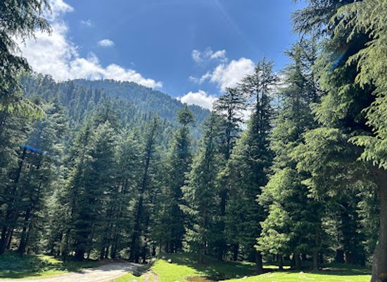 india/gulmarg/attraction/shrunz-waterfall