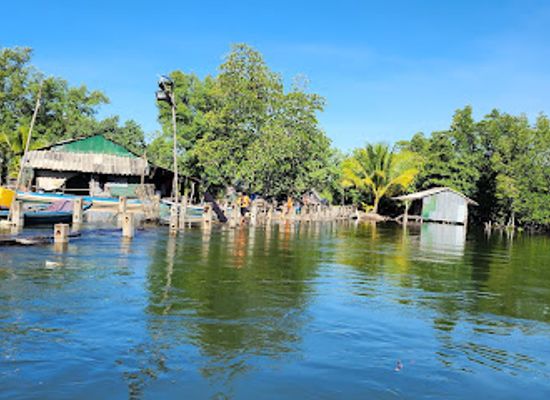 cambodia/koh-kong/attraction/peam-krasaop-wildlife-sanctuary