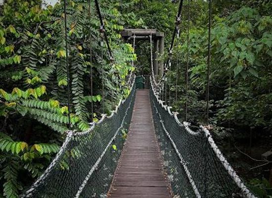 malaysia/kuala-lumpur/attraction/kl-forest-eco-park