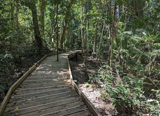 australia/far-north-queensland/attraction/jindalba-boardwalk