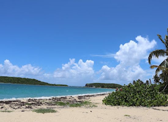 puerto-rico/vieques-island/attraction/bahia-del-sol-state-park